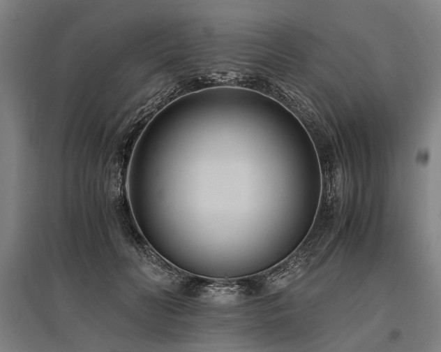 X0000096160606200801181226