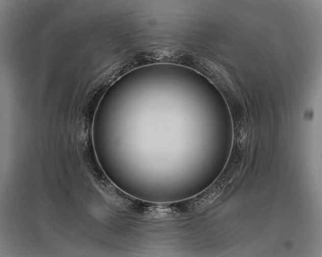 X0000096160607200801181226