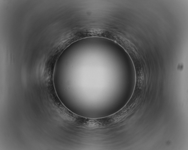 X0000096160608200801181226