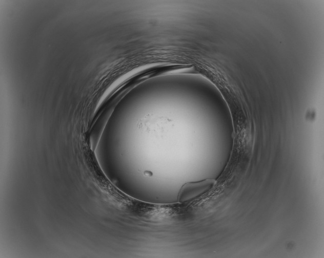 X0000096160609200801181226