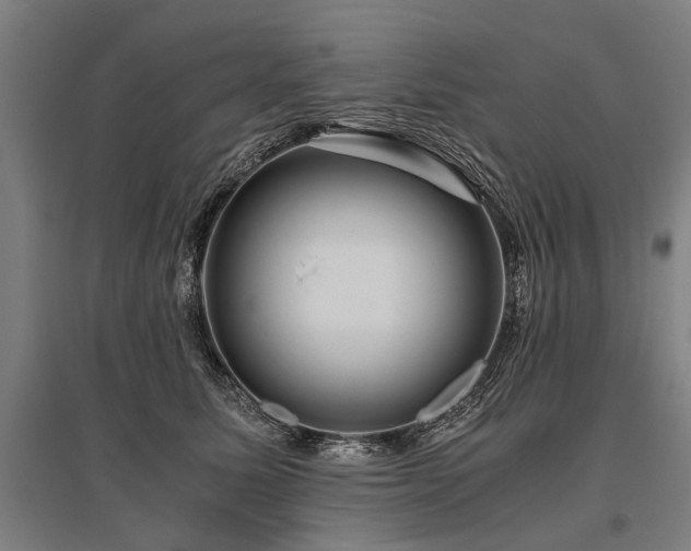 X0000096160611200801181226