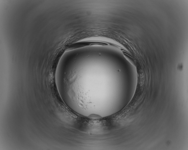 X0000096160613200801181226