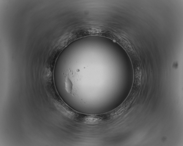 X0000096160614200801181226