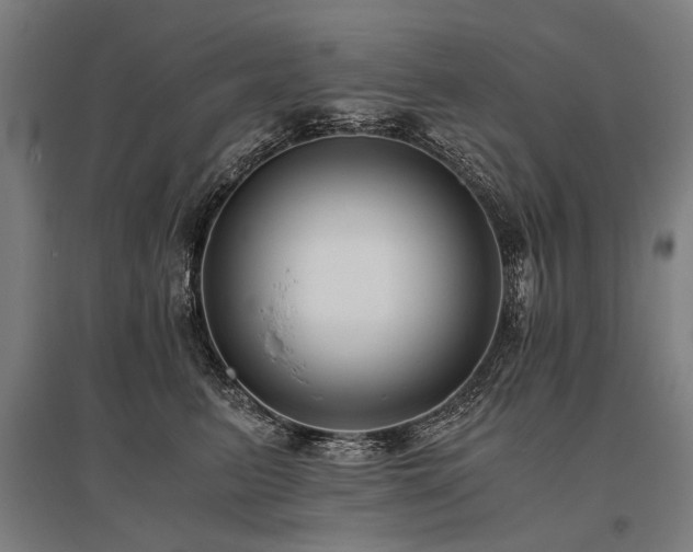 X0000096160615200801181226