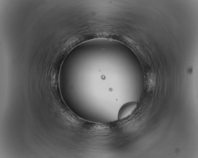 X0000096160619200801181226