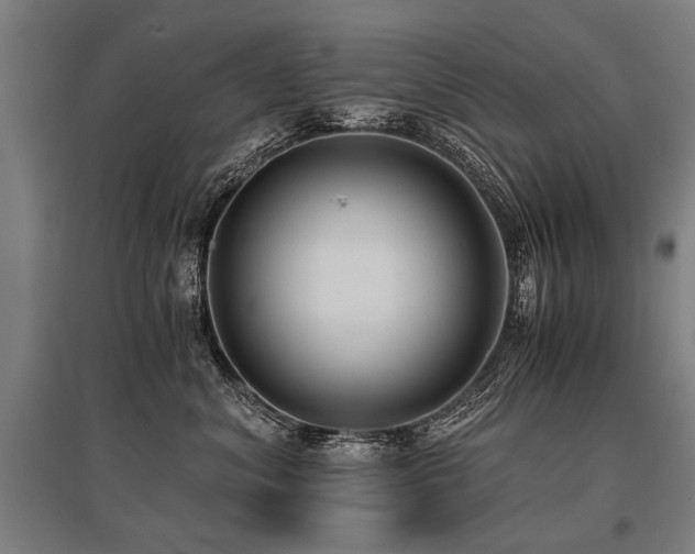 X0000096160620200801181226