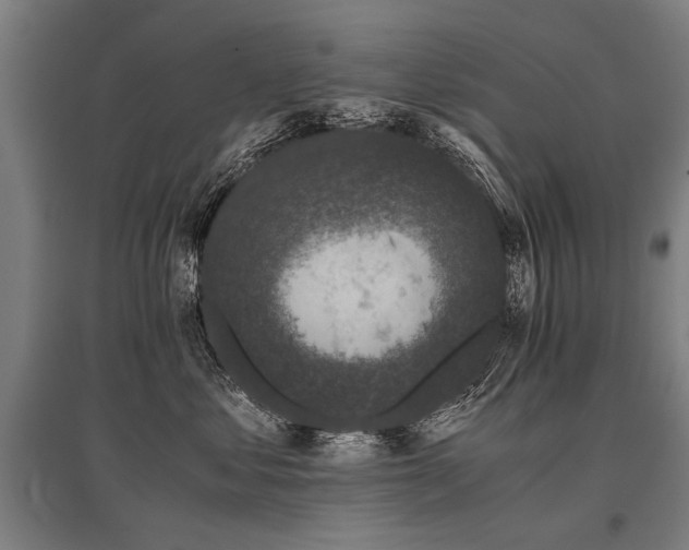 X0000096160621200801181226