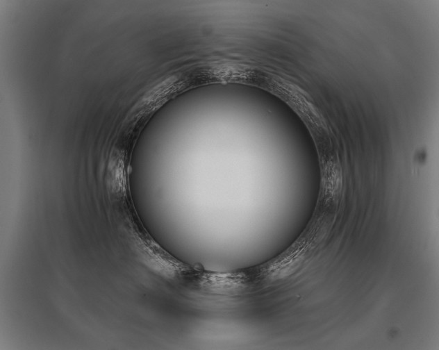 X0000096160622200801181226