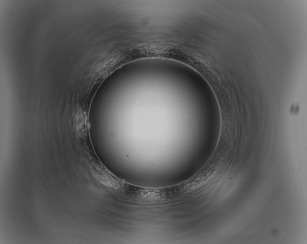 X0000096160624200801181226