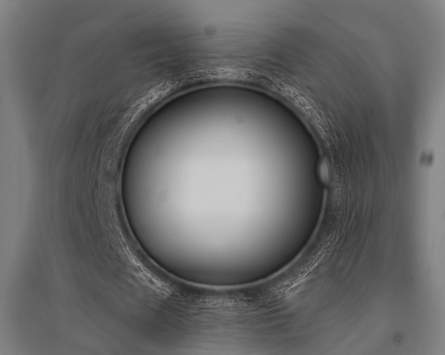 X0000096160625200801181225