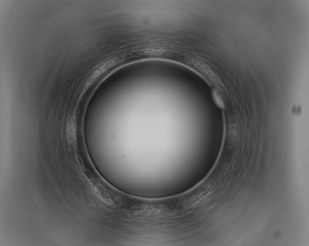 X0000096160626200801181225
