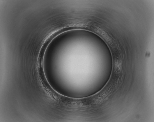 X0000096160628200801181225