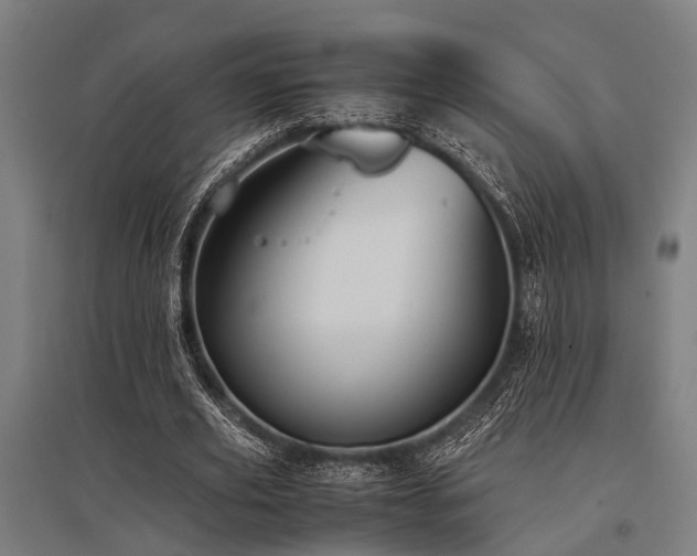 X0000096160629200801181225