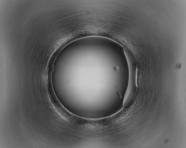 X0000096160630200801181225