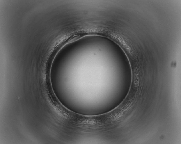 X0000096160631200801181225