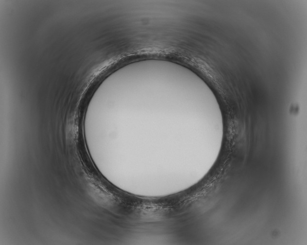 X0000096160632200801181225