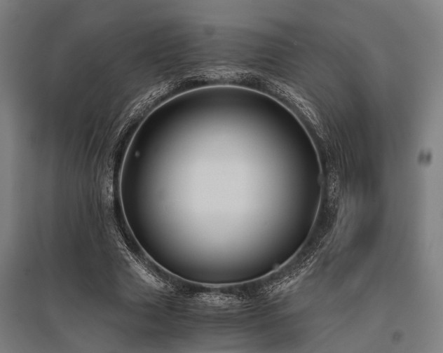 X0000096160633200801181225