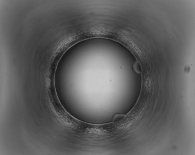 X0000096160635200801181225