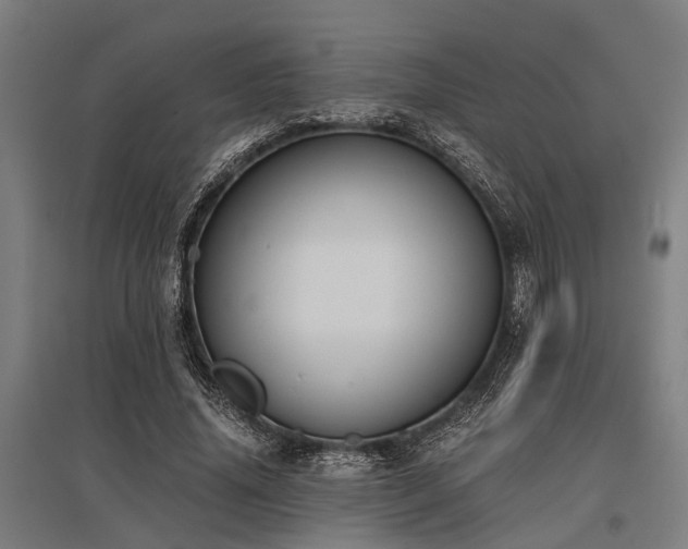 X0000096160636200801181225