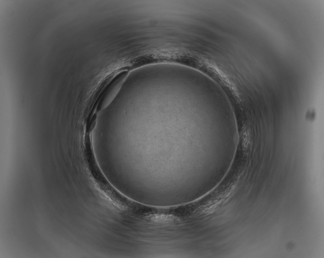 X0000096160637200801181225