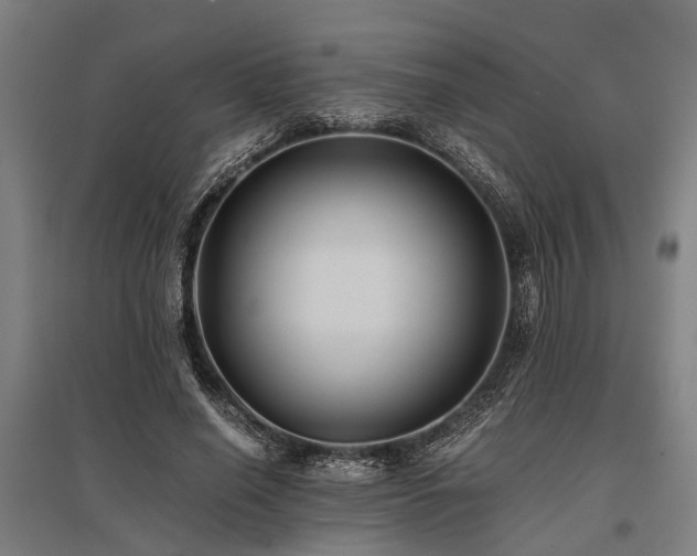X0000096160638200801181225
