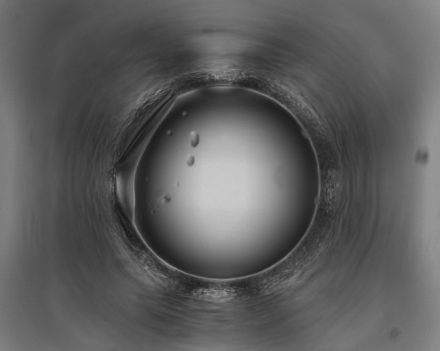 X0000096160639200801181225