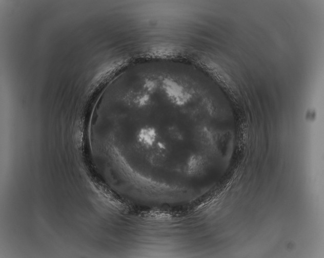 X0000096160640200801181225