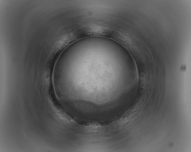X0000096160642200801181225