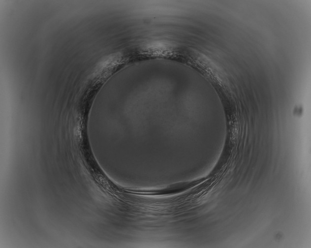 X0000096160643200801181225