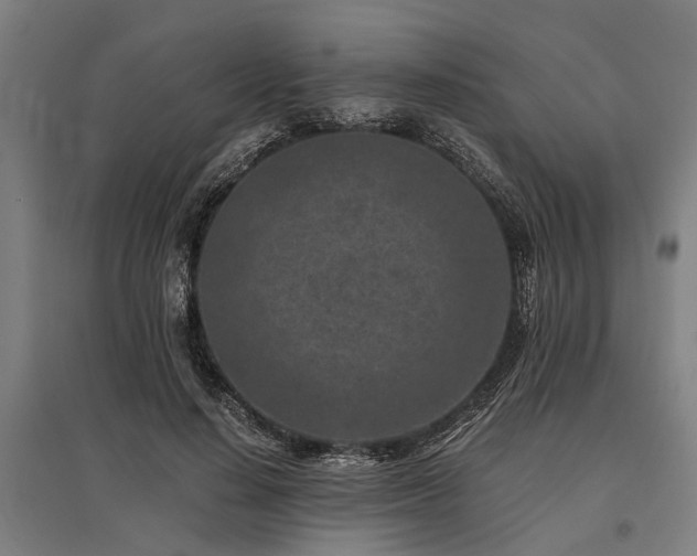X0000096160644200801181225