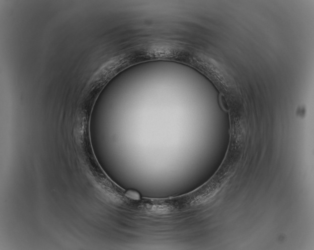 X0000096160645200801181225