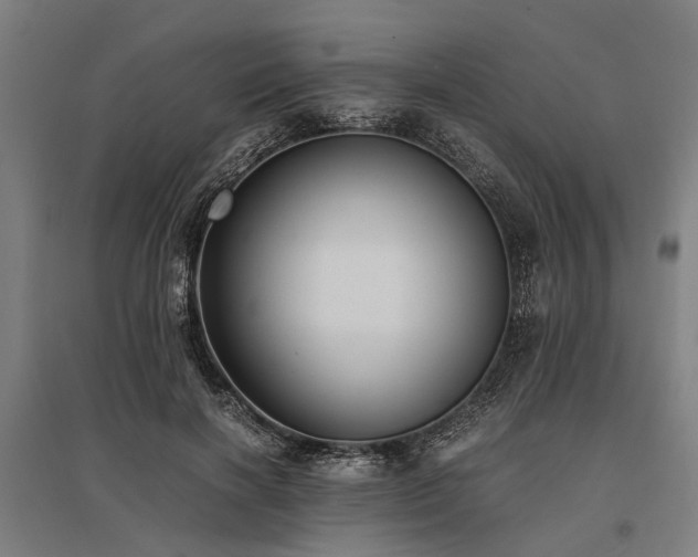 X0000096160646200801181225