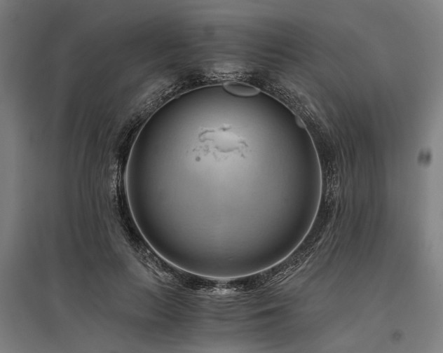 X0000096160647200801181225