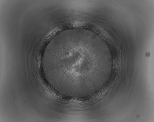 X0000096160648200801181225