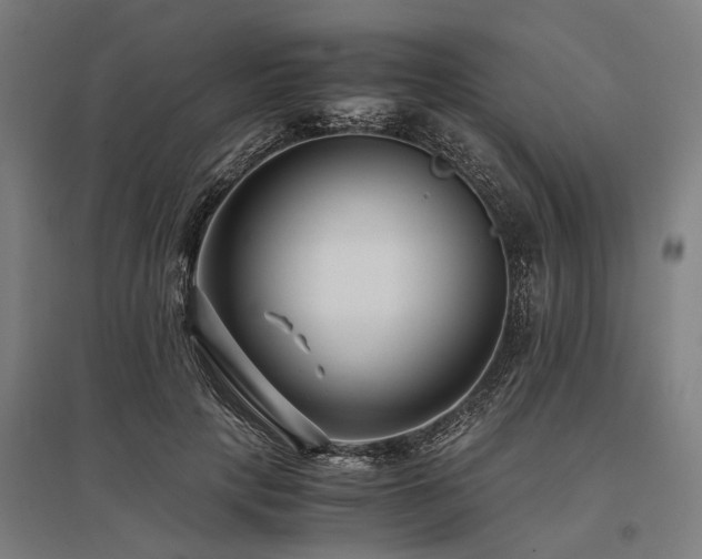 X0000096160649200801181225