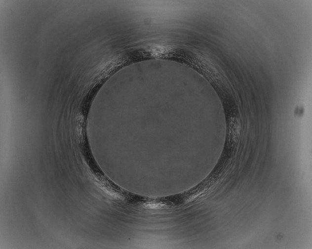 X0000096160650200801181225