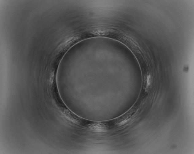 X0000096160652200801181226