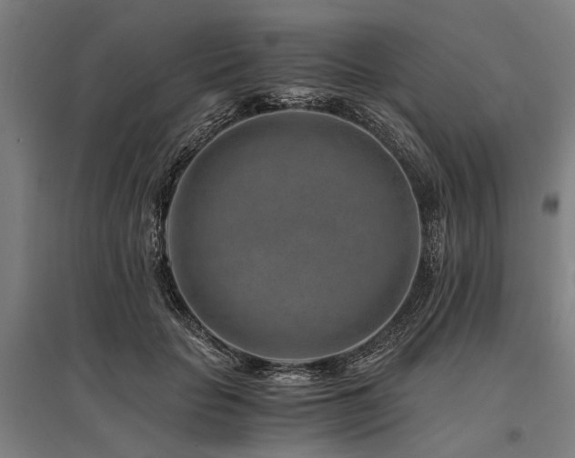 X0000096160653200801181226