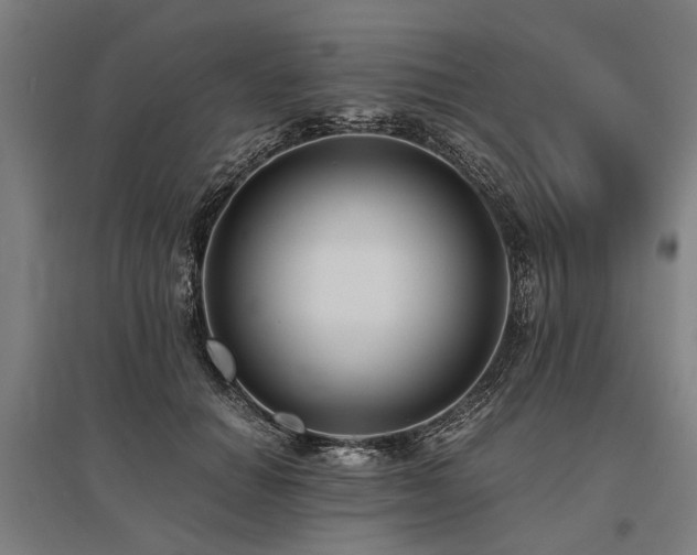 X0000096160654200801181226