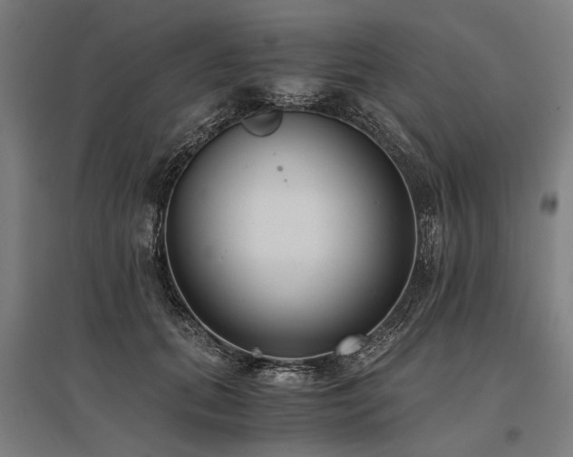 X0000096160655200801181226
