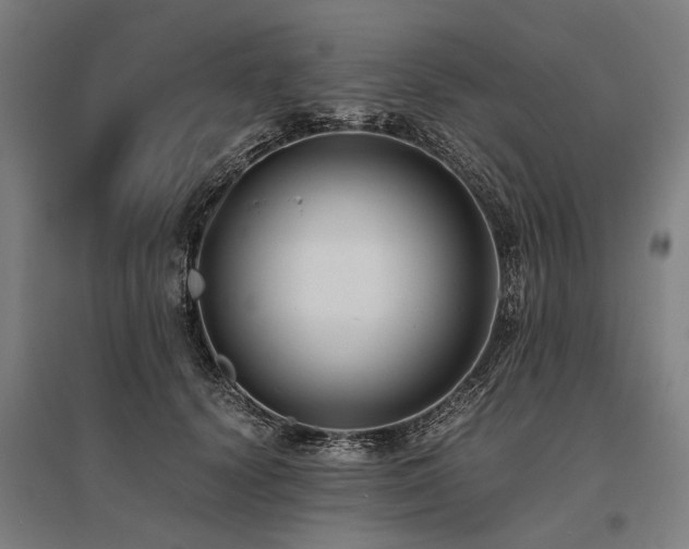 X0000096160656200801181226