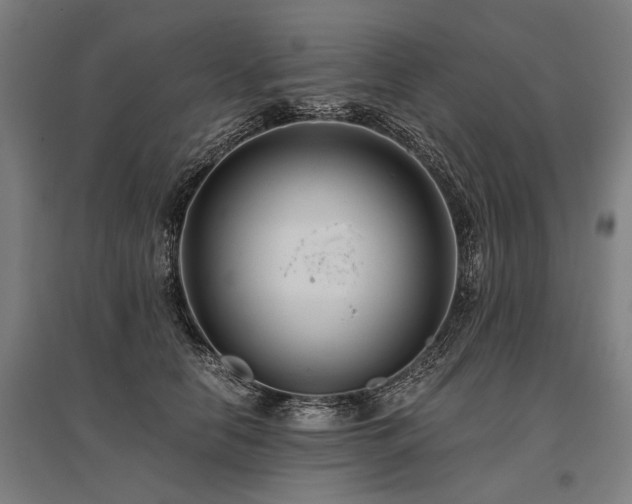 X0000096160658200801181226