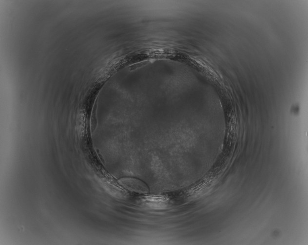 X0000096160659200801181226