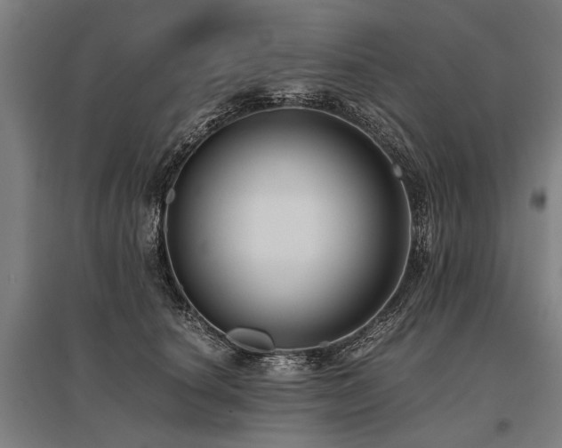 X0000096160660200801181226
