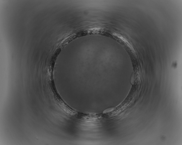 X0000096160661200801181226