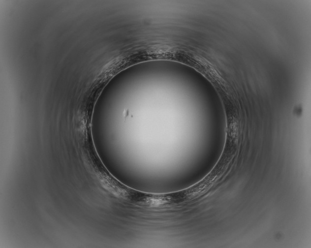 X0000096160662200801181226