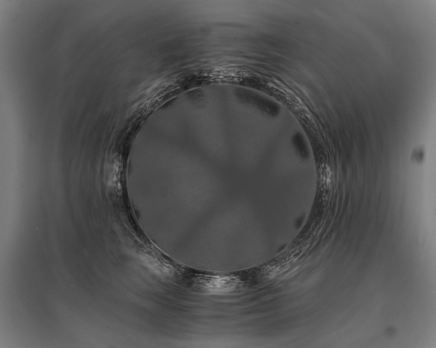X0000096160663200801181226