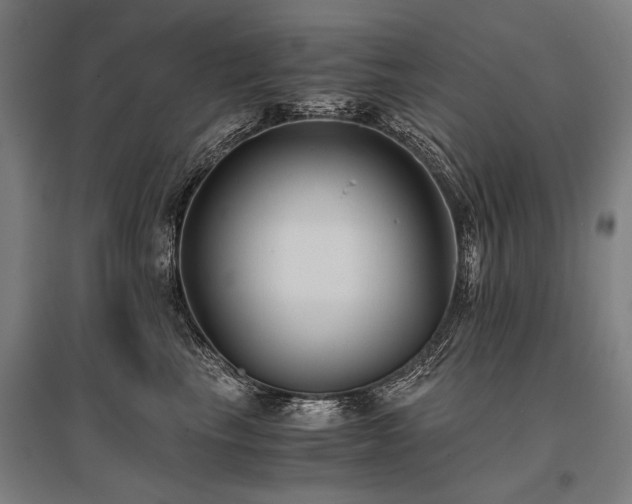 X0000096160665200801181226
