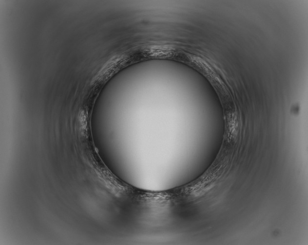 X0000096160667200801181226
