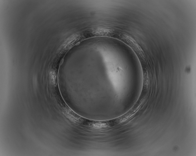 X0000096160669200801181226